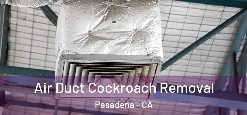 Air Duct Cockroach Removal Pasadena - CA