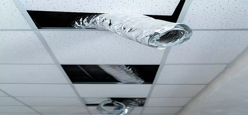 Our Air Duct Pet Hair Removal Services in Pasadena, CA