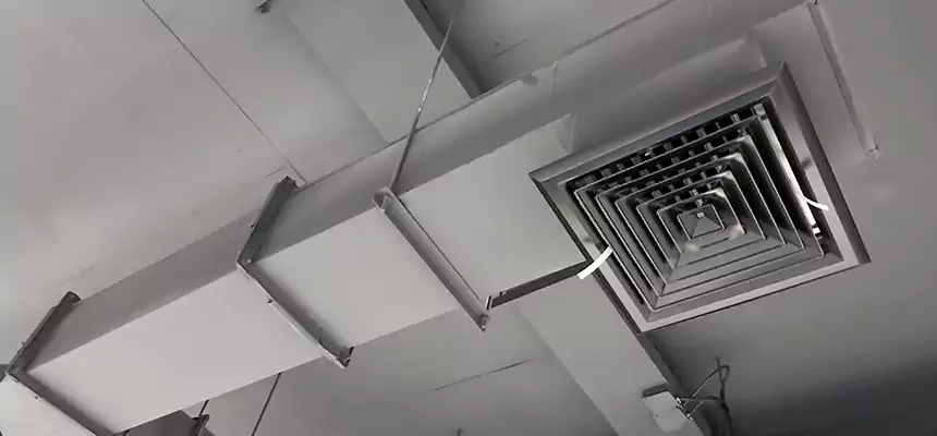 Our Rodent Droppings In Vents Services in Pasadena, CA