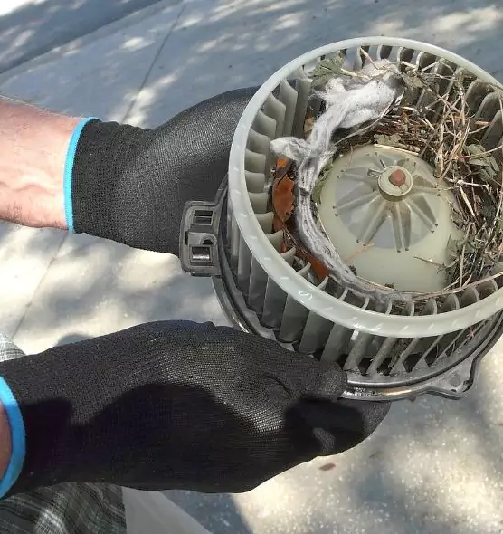 About Air Duct Mice Removal in Pasadena, CA