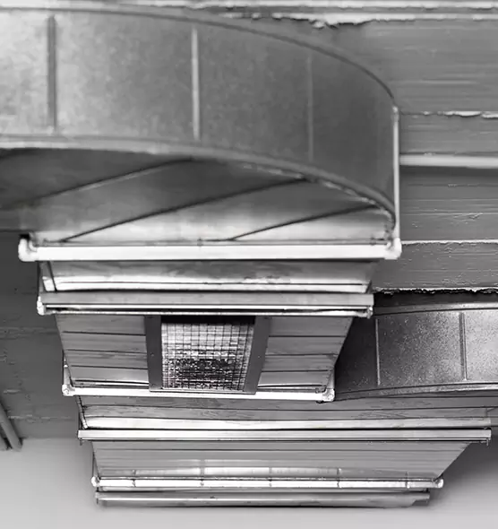 Professional Air Duct Pet Hair Removal in Pasadena, CA