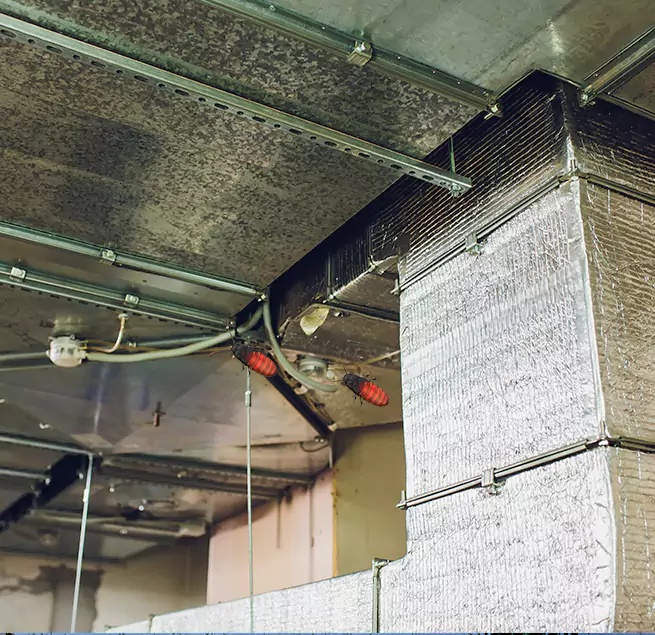 Why Homeowners & Businesses Trust Us in Pasadena, CA?