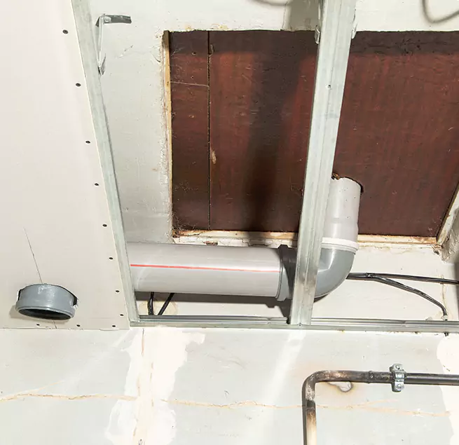 Why Homeowners & Businesses Trust Us in Pasadena, CA?