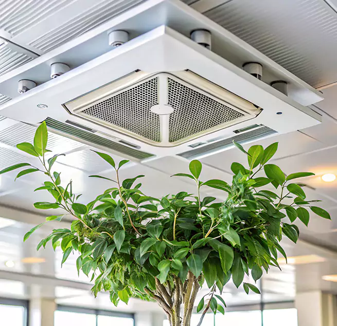 Why Homeowners & Businesses Trust Us in Pasadena, CA?