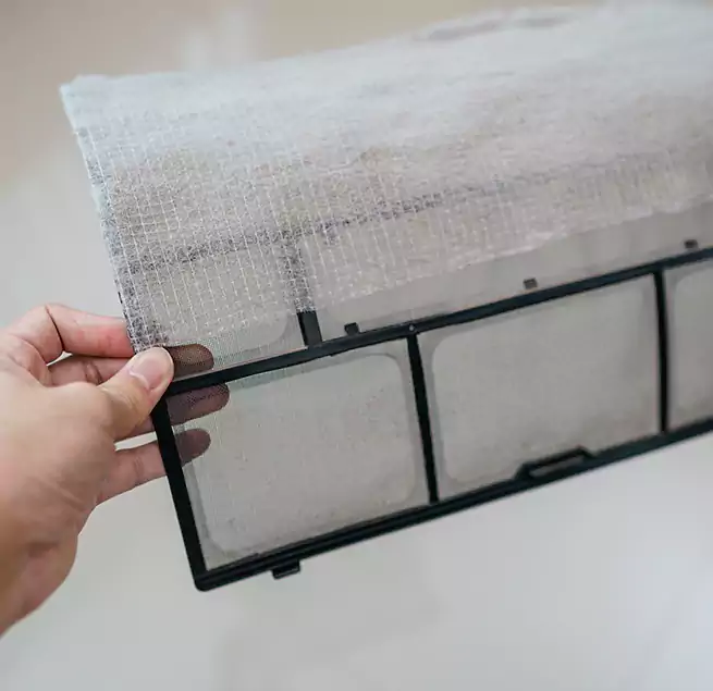 Why Homeowners & Businesses Trust Us in Pasadena, CA?